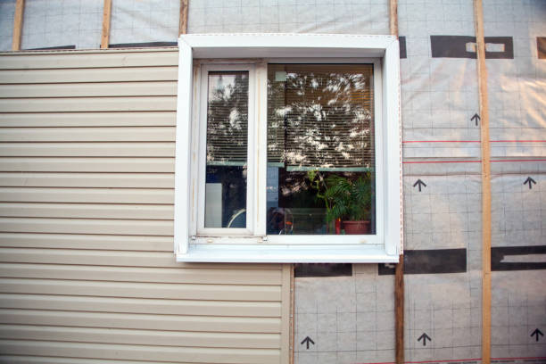 Best Siding Painting and Refinishing  in Tyrone, GA