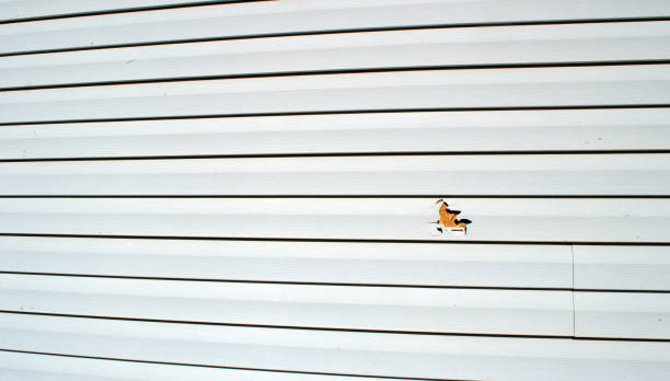 Best Siding Removal and Disposal  in Tyrone, GA